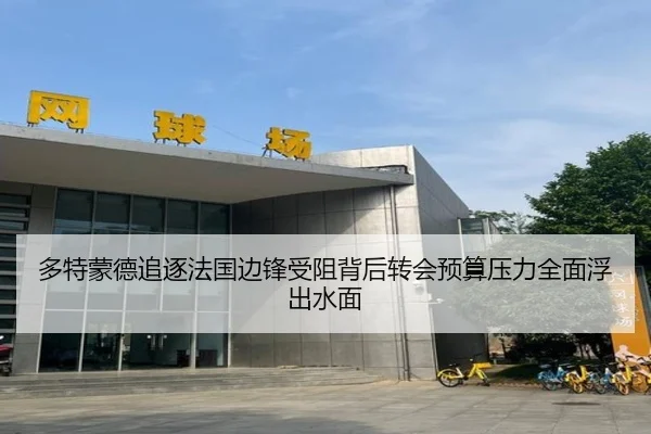 多特蒙德追逐法国边锋受阻背后转会预算压力全面浮出水面
